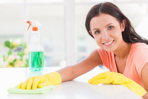 Local cleaners providing domestic cleaning services in E2 homes and flats