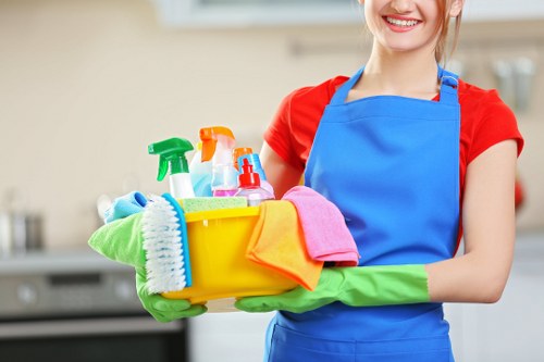 Professional sofa cleaning service for E2 homes and flats