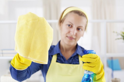 Professional carpet cleaning service for homes in E2