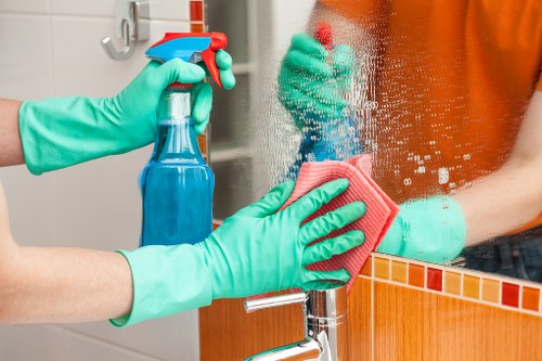 Professional home cleaning service for E2 flats and houses