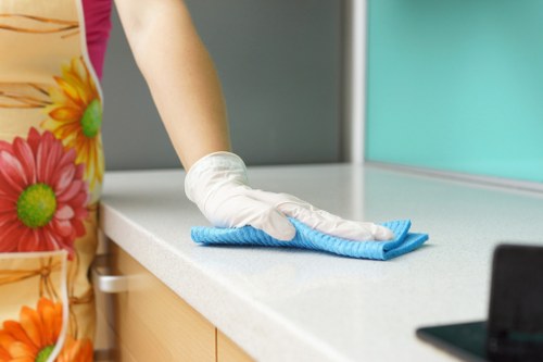 Local cleaner carrying out kitchen and bathroom cleaning in E2
