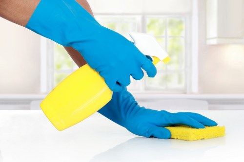 Professional cleaning tasks in a kitchen and bathroom for a property in E2