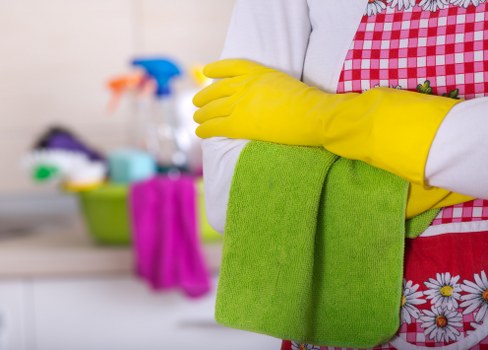 Deep carpet cleaning process for residential and commercial properties in E2