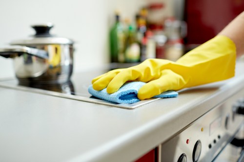 Thorough kitchen and bathroom deep cleaning in E2