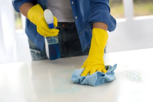 Detailed carpet care process for a clean interior in E2