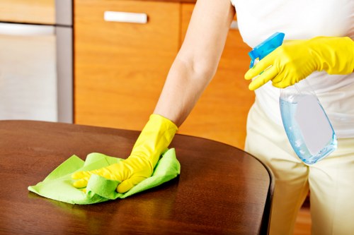 Targeted stain removal and carpet restoration service in E2