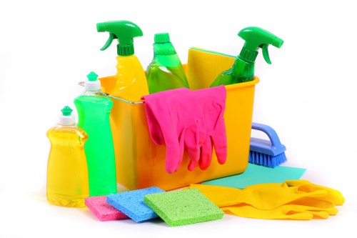 Deep cleaning service for a property in E2